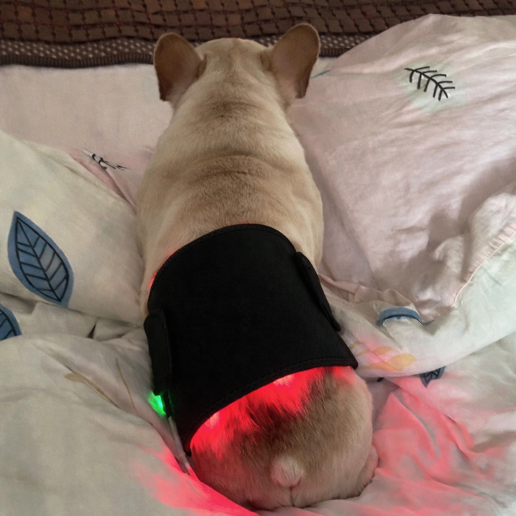 IVDD Near-Infrared Wrap