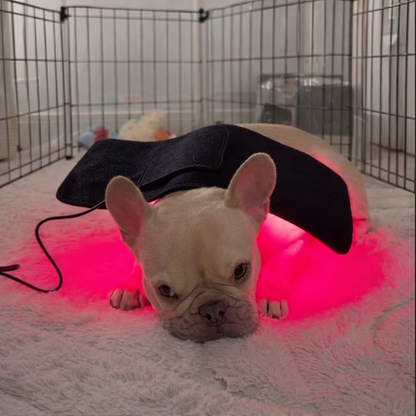 IVDD Near-Infrared Wrap