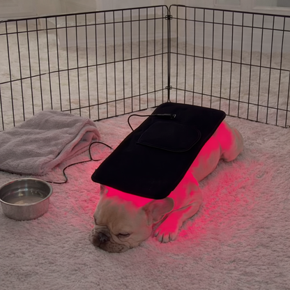 IVDD Near-Infrared Wrap